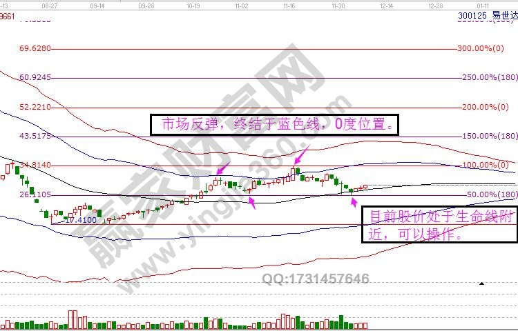 300125價格走勢分析