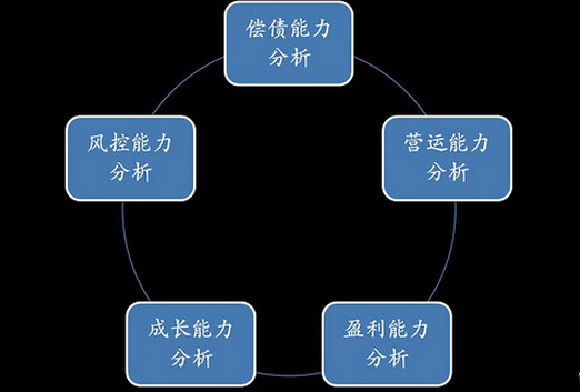 公司分析