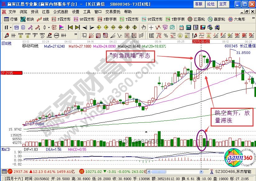 “狗急跳墻”形態(tài)運(yùn)用