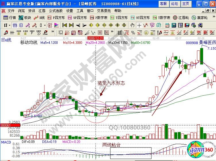 豬籠入水形態(tài)