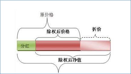 股權登記日