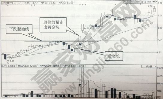 漲停股選股