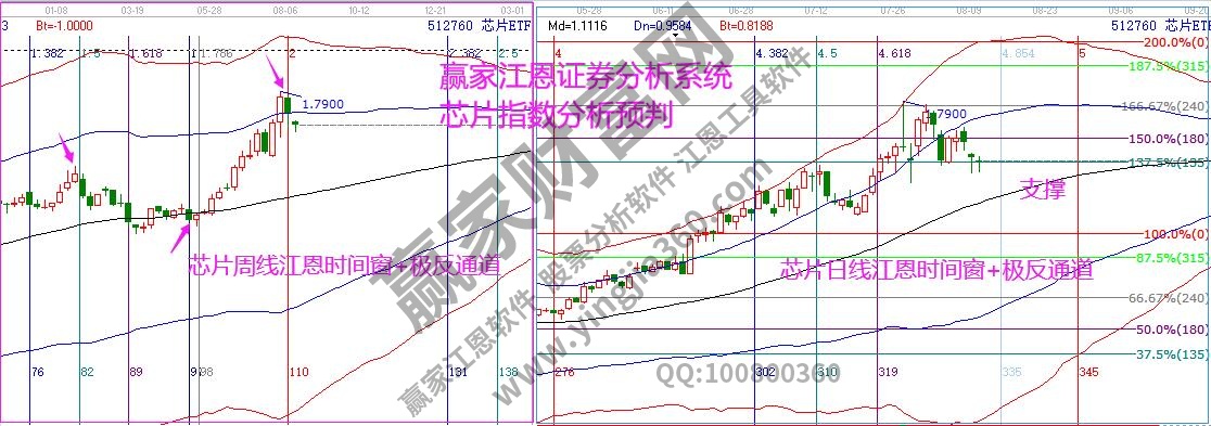 芯片指數(shù)分析