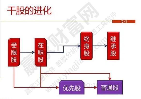 干股的進(jìn)化